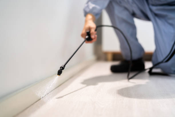 Licensed Bed Bug Control service in Cairo, IL - Nex Pest Control