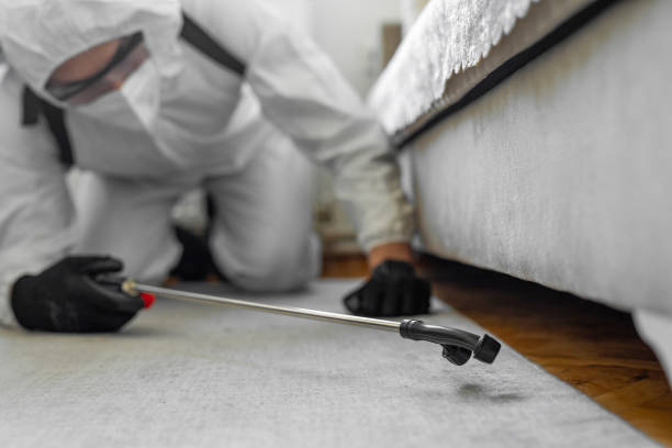 Professional Bed Bug Control technician working in Cairo, IL