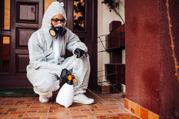 Reliable Bed Bug Control contractor in Cairo, IL by Nex Pest Control